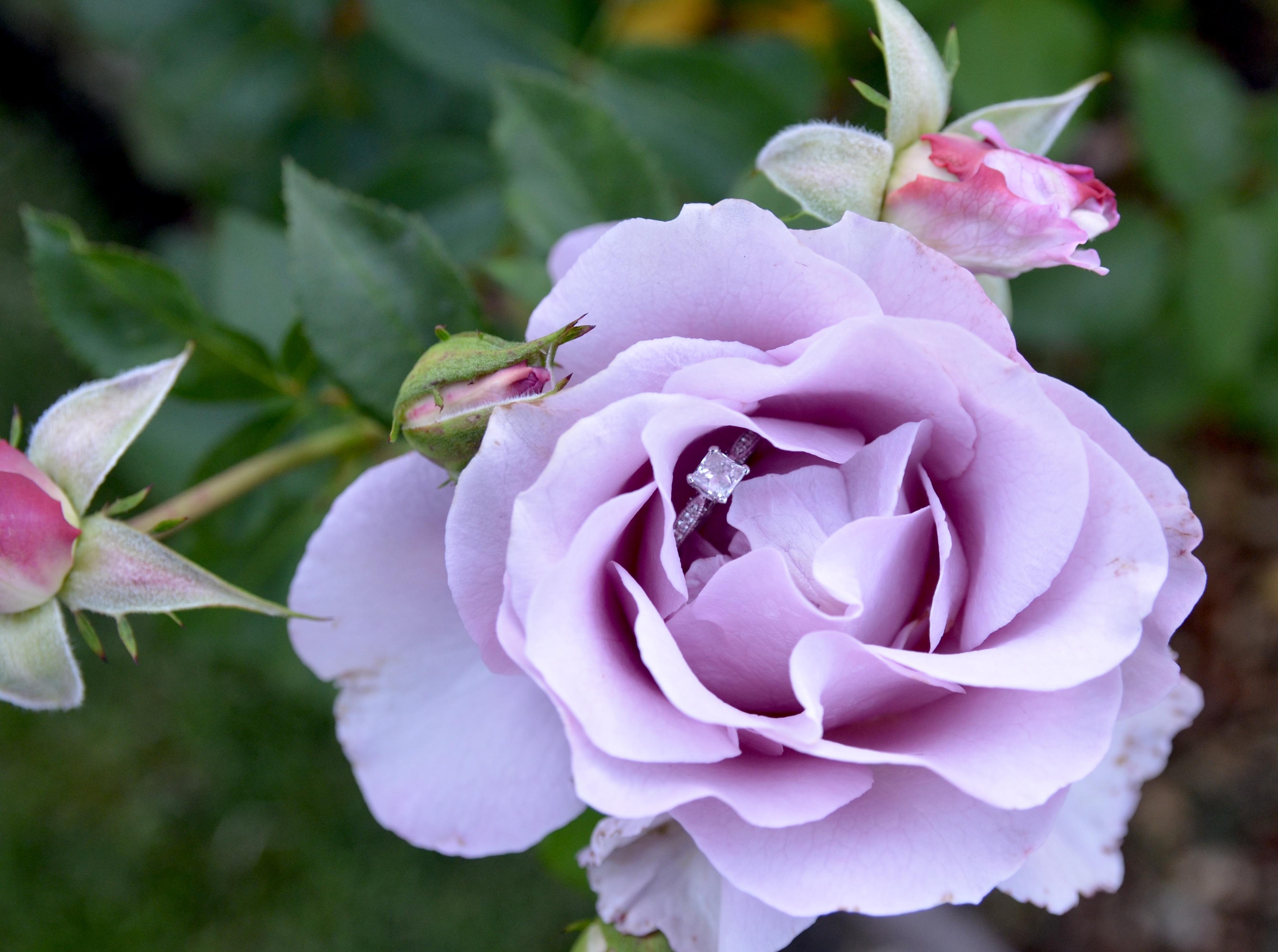 The Wedding Website of Rachel Forrest and Yassen Ivanov