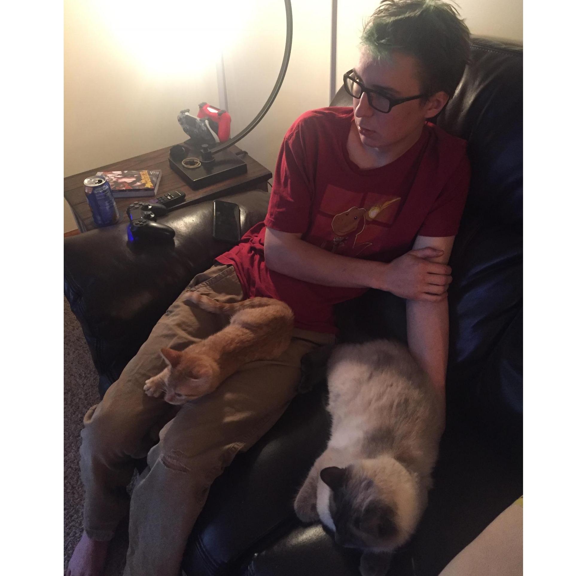 An evening in early July 2019 after we adopted Turbo. Chris, Diesel, and Little Turbo enjoying some tv time together!