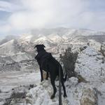 Dinosaur Ridge