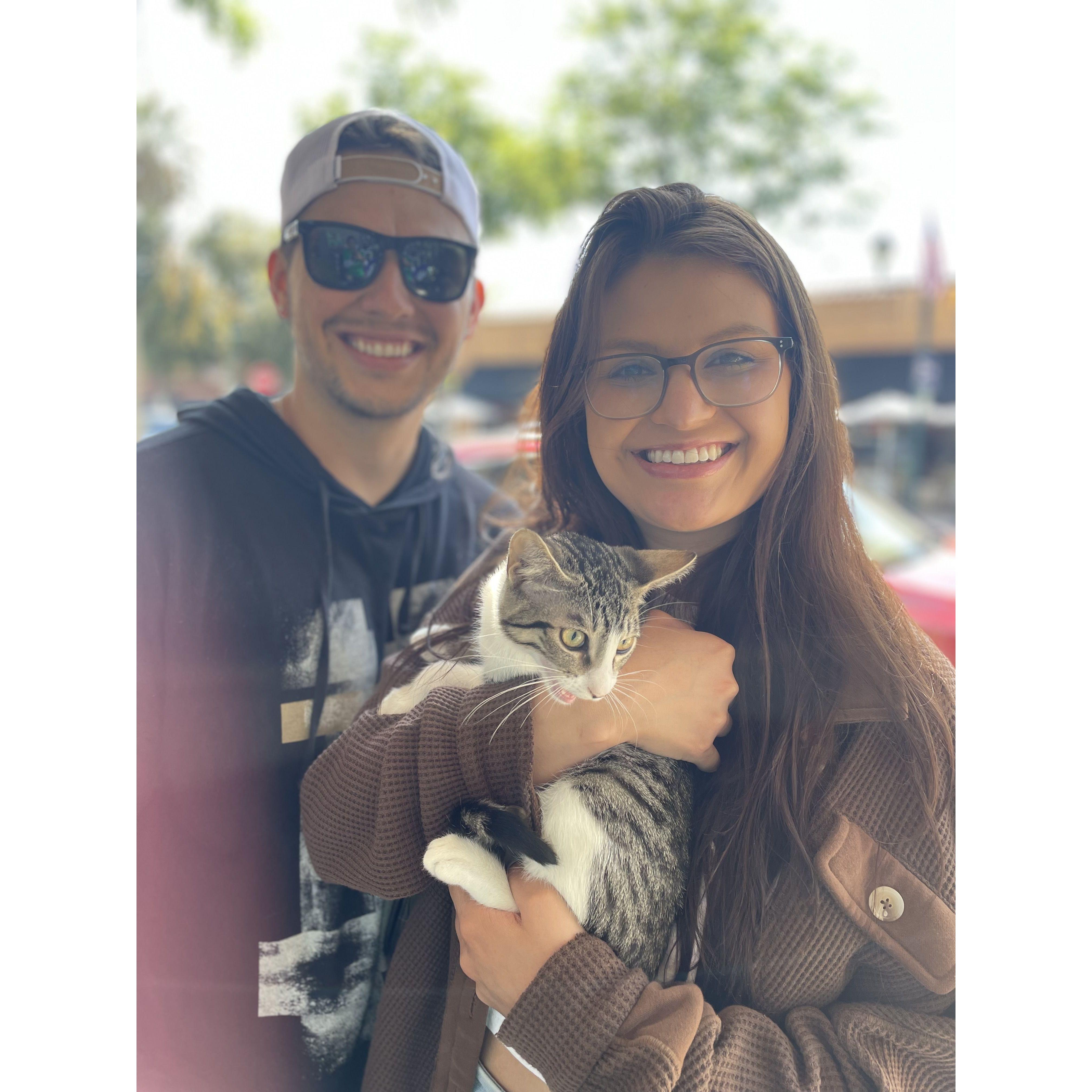 Our recent cat adoption together-- "Dallas"