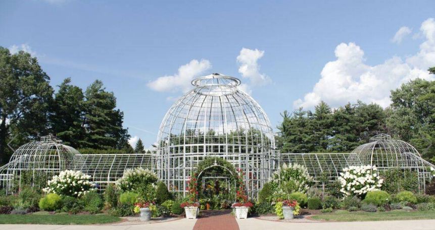The Wedding Website of Abbigail Blackburn and Nikolas Nelson