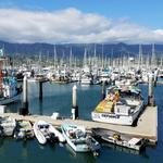 The Harbor