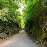 Tweetsie Trail