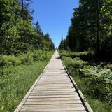 The Ridges Sanctuary