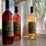 Wildcat Creek Winery