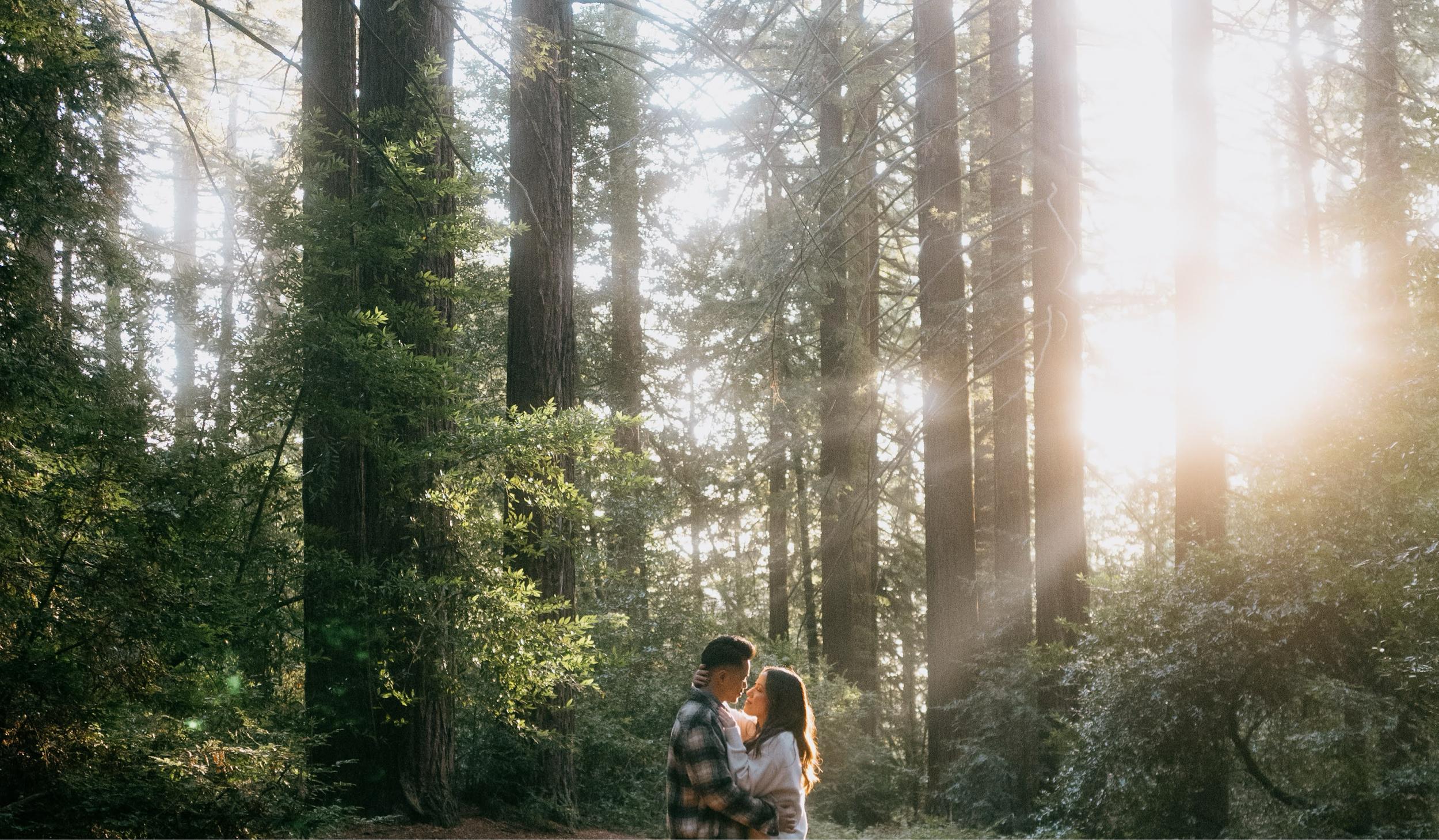 Hero Slideshow Image 5