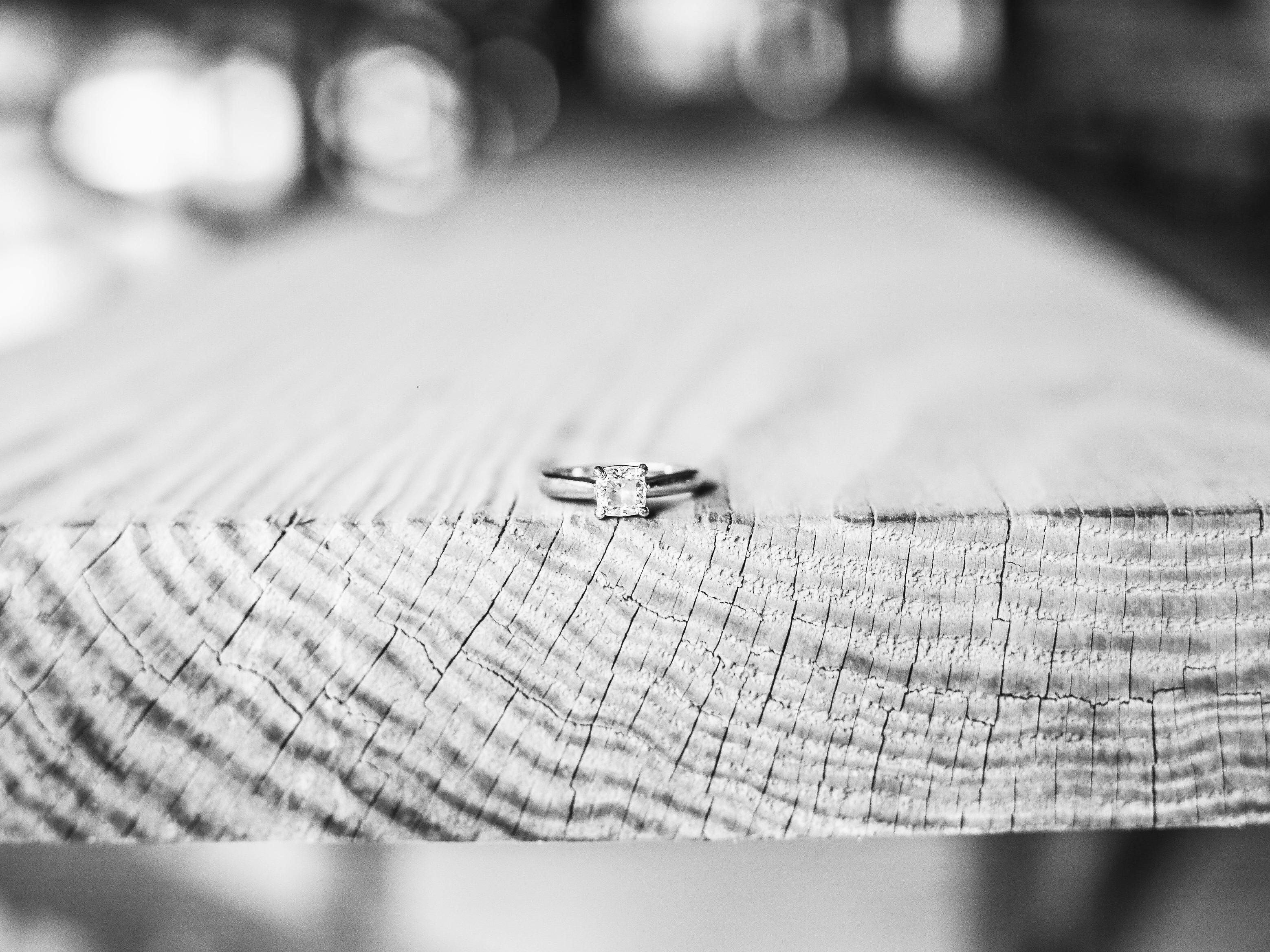 The Wedding Website of Lisa Jonas and Sam Morris