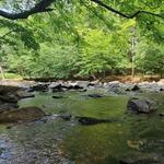 Eno River State Park