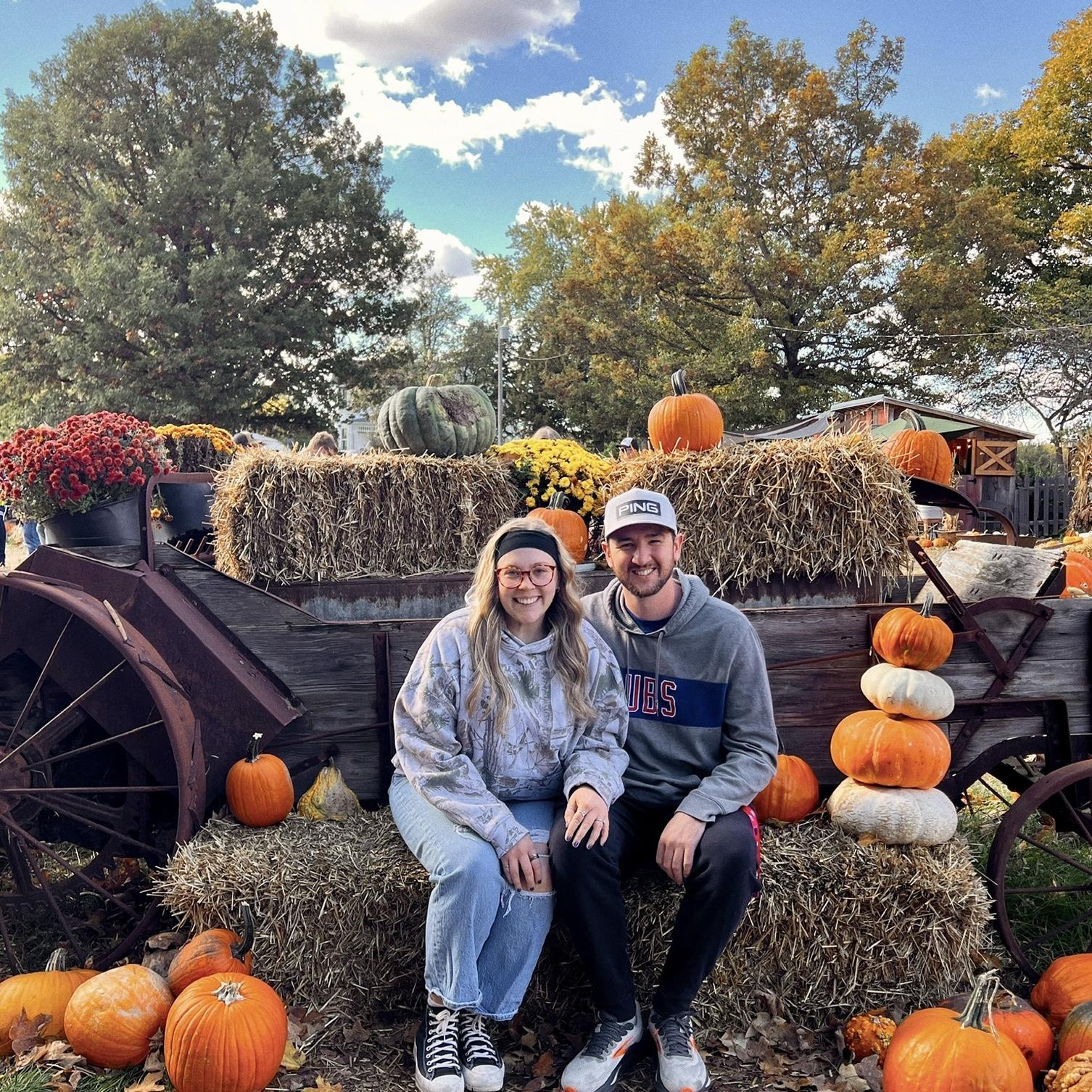 Pumpkin patch - October 2025 🎃