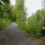 Poors Island Trails