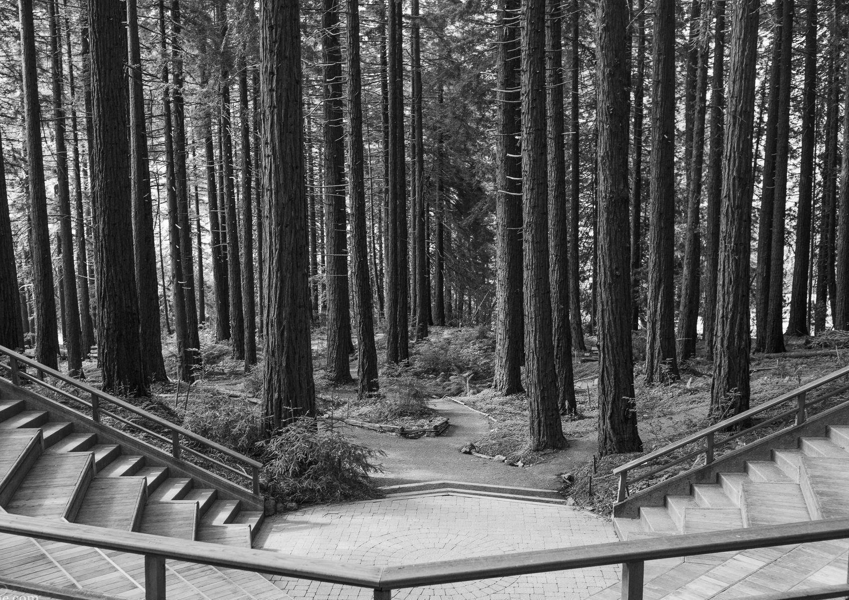 The Wedding Website of Valerie Neill and Chris Brown