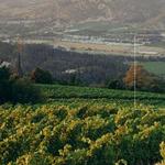 Napa Valley