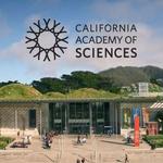 California Academy of Sciences