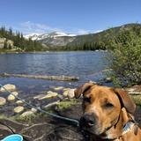 Lost Lake Trail