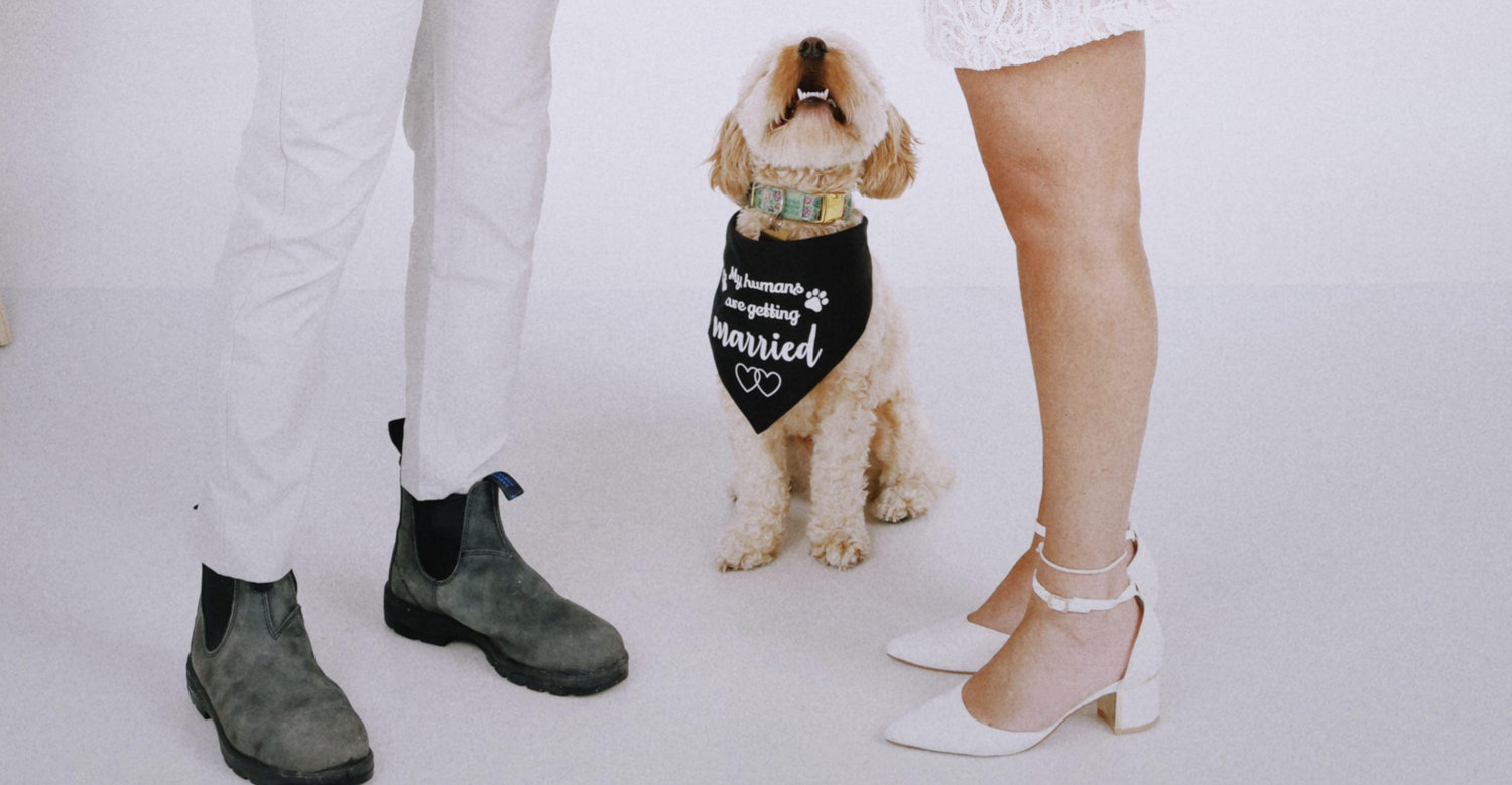 The Wedding Website of Stephanie Bogias and Eóin Murphy