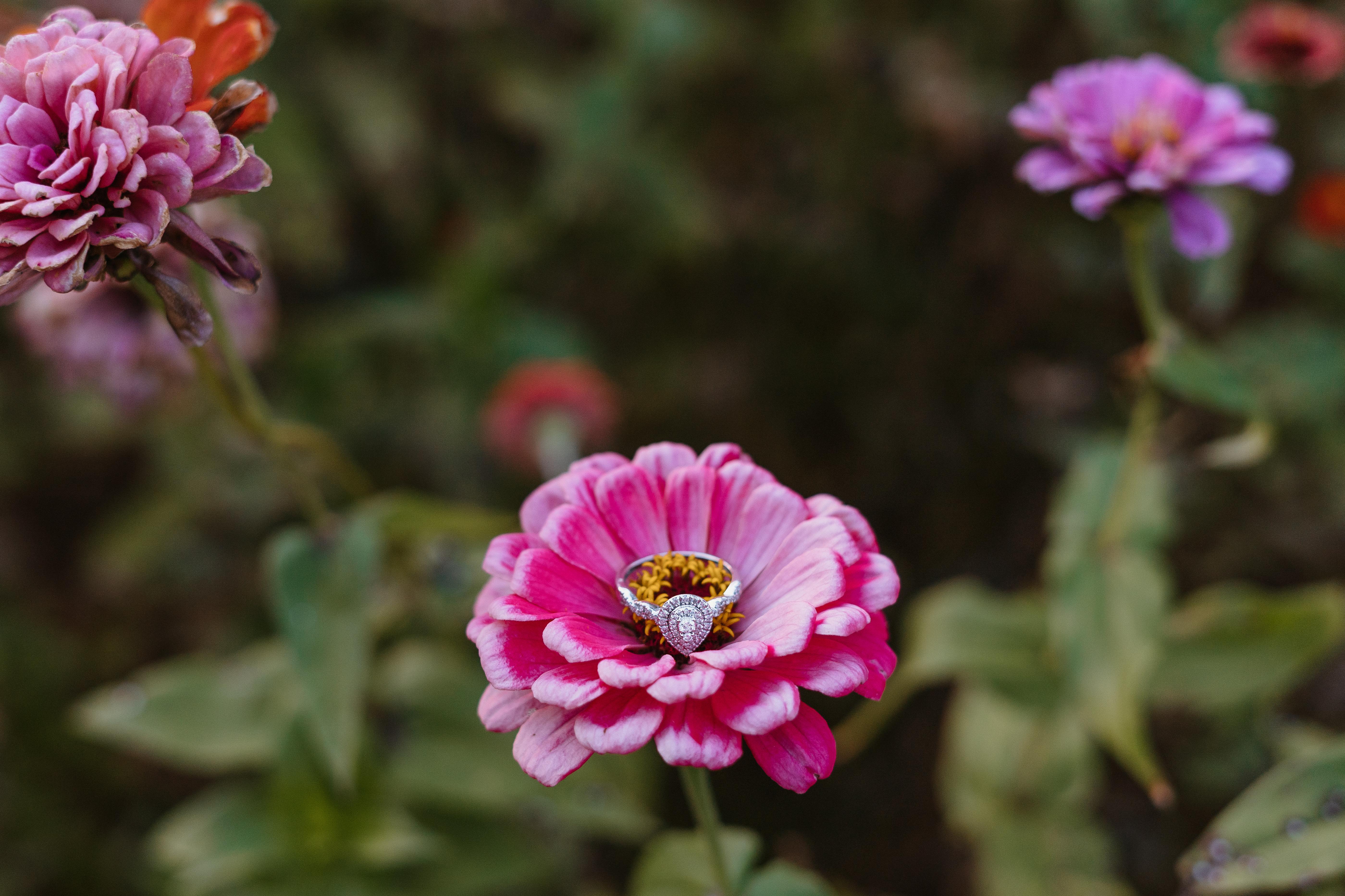 1ba50516-a293-4873-a033-628de6d614f5