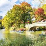 Central Park