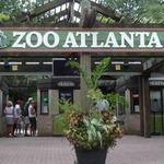 Zoo Atlanta