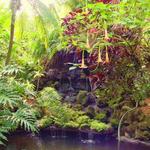 Sunken Gardens
