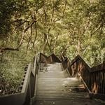 Hiking the Peninsula