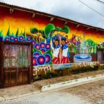 Ruta de las Flores