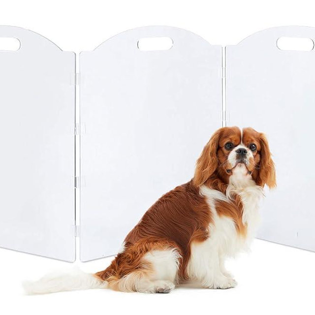 Clear Acrylic Dog Gate for The House - Freestanding Pet Barrier for Doorways, Folding 3-Panel Fence for Inside - Puppy and Cat Fence