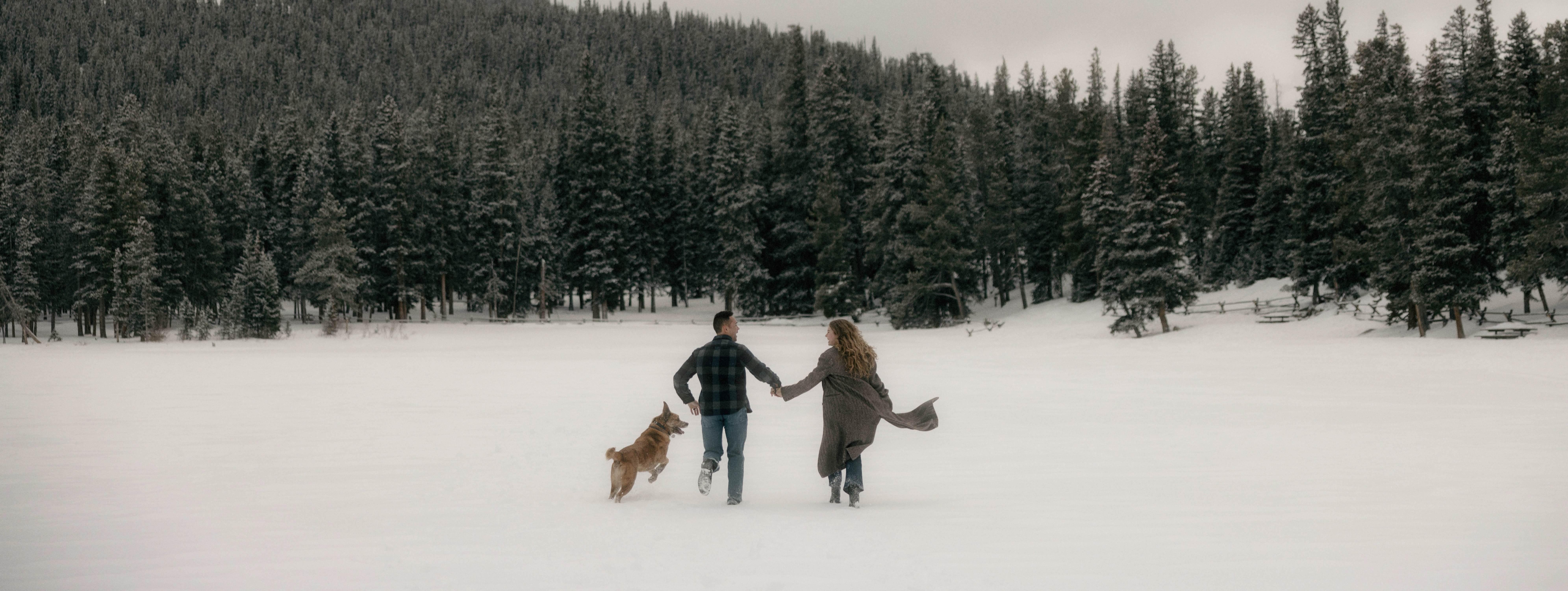 1bab05cf-e8cb-48ea-9551-b4aa6c4109c0