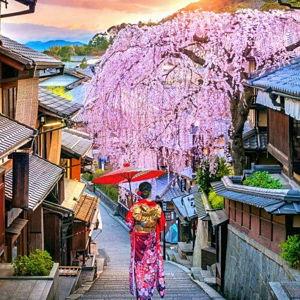 Kyoto | Experience