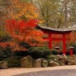 Birmingham Botanical Gardens
