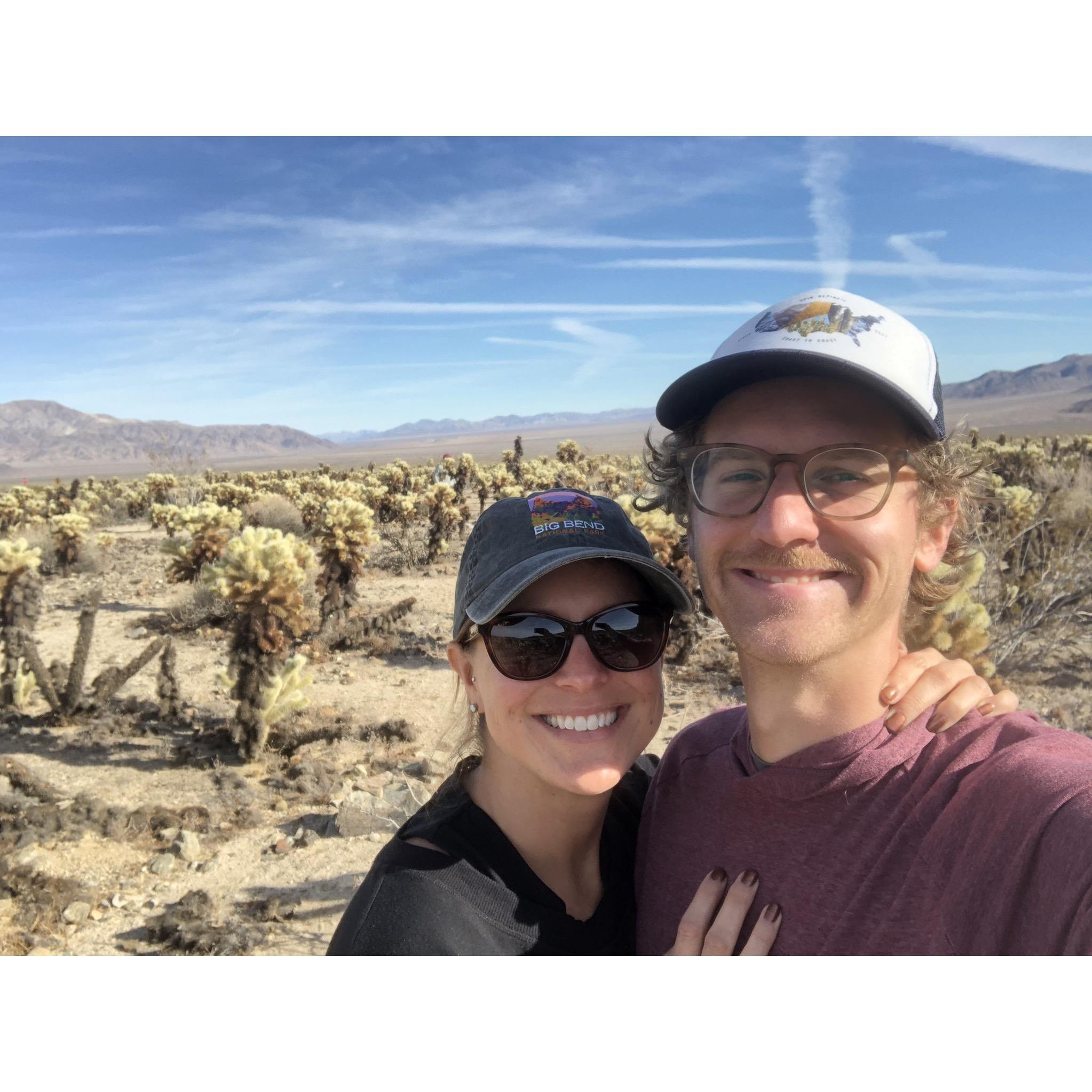 Joshua Tree National Park