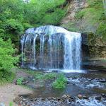 Wilke Glen and Cascade Falls