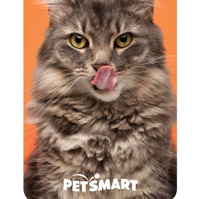PetSmart gift card