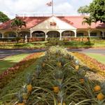 Dole Plantation