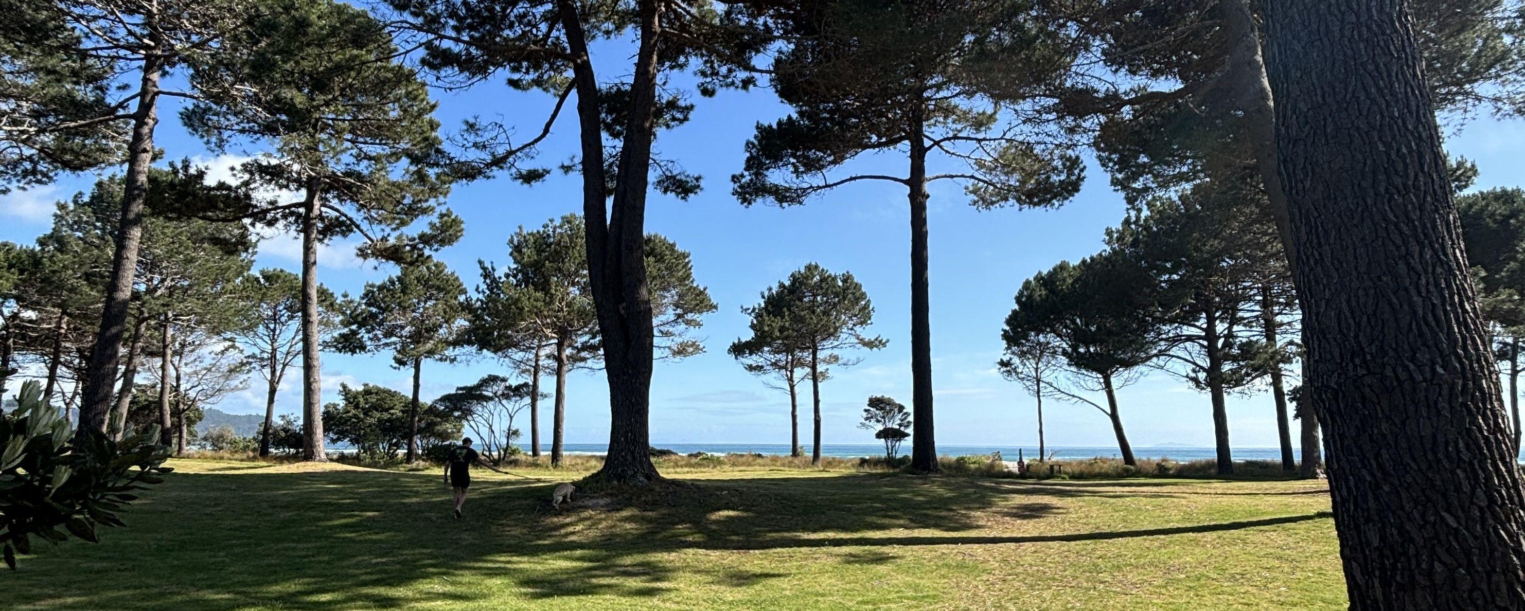 The Wedding Website of Libby McGlade and Josh Court