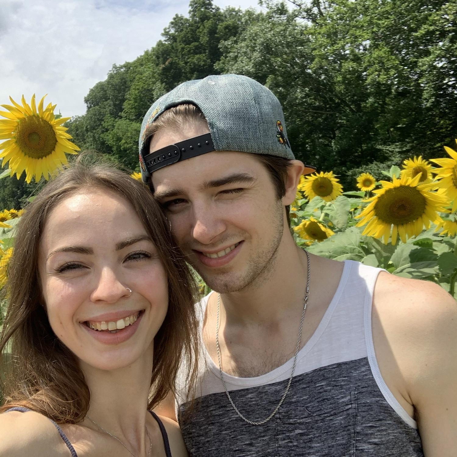 Sunflower Festival, Lee, NH