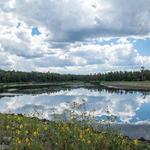 Woodland Lake Park
