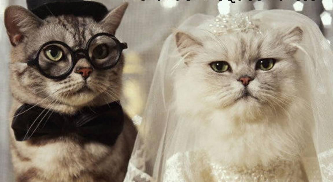 The Wedding Website of Hannah Swenson and Adam Blanchard