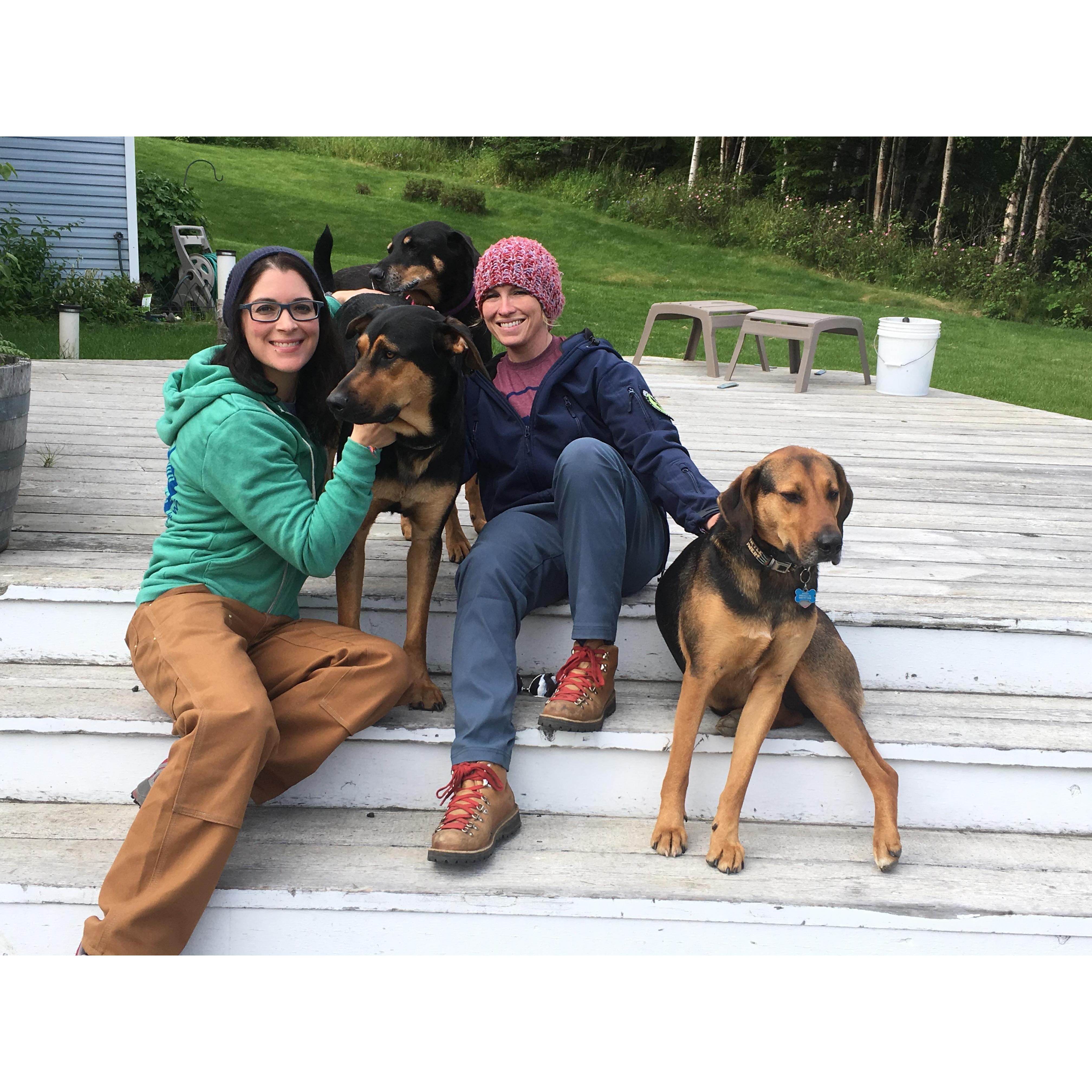 Our dog tribe!