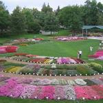 CSU Annual Flower Trial Gardens