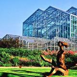 Frederik Meijer Gardens & Sculpture Park