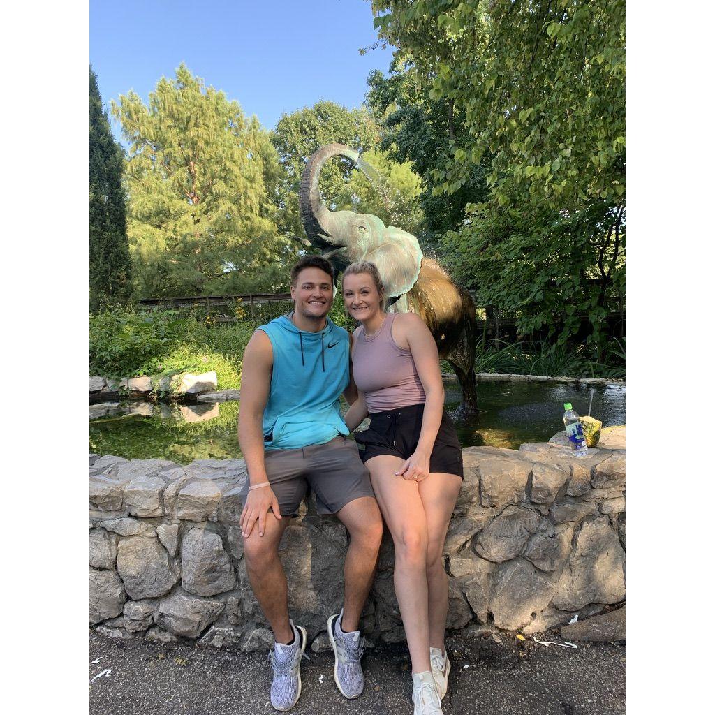 Our first trip to the St. Louis zoo