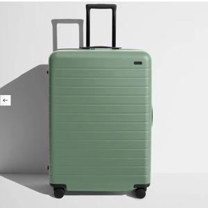 "The Large" Sea Green suitcase | Away