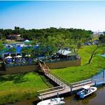 Bacchus On The Bayou