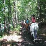 Spring Valley Equestrian Center