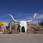 Longhorn Grill and Saloon