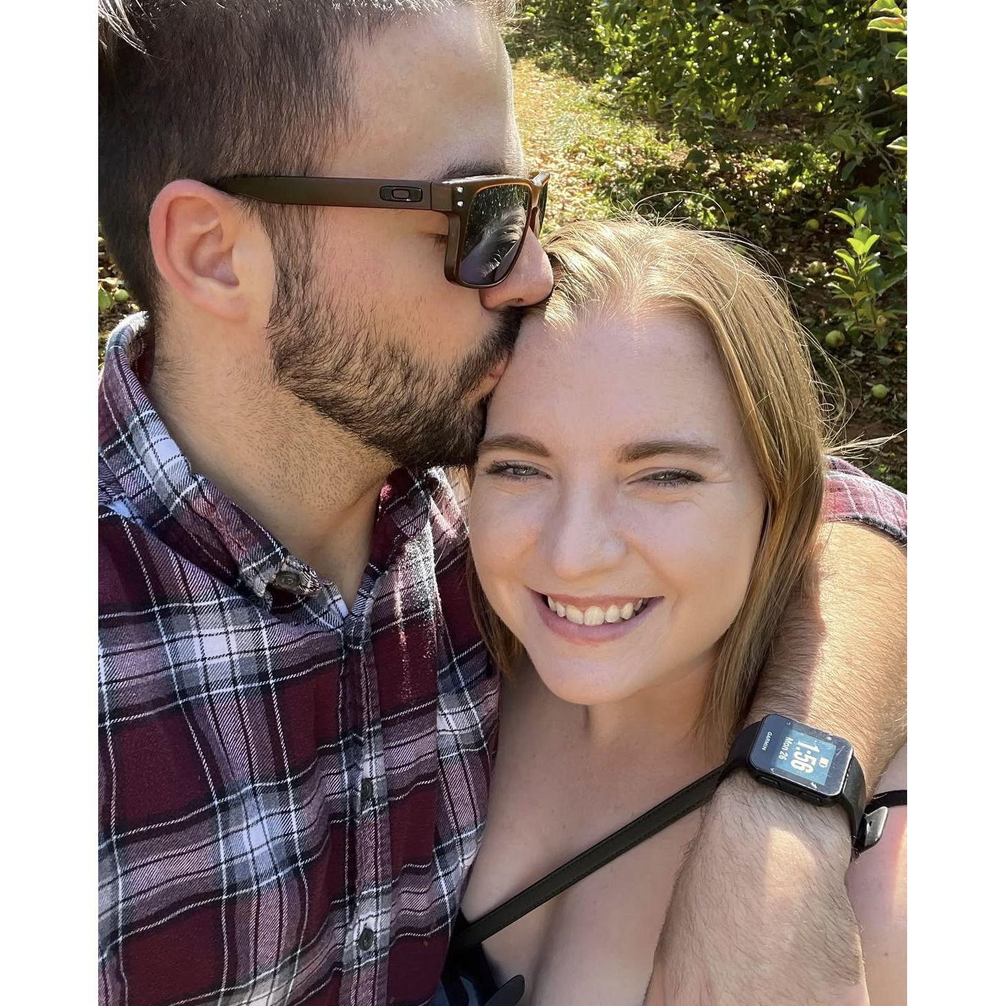 Apple Picking