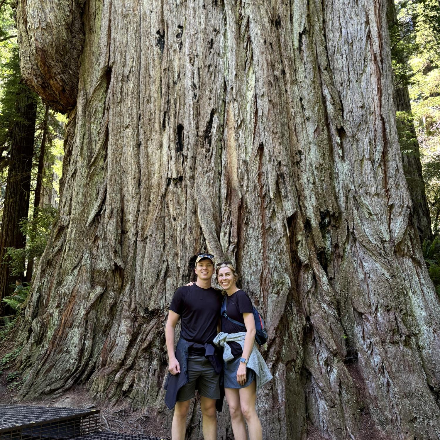 Wow that's a big tree! As part of the West Coast trip we stopped by the Redwoods.