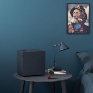 Baggen Bluetooth Multi-Room Speaker