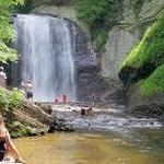 Pisgah National Forest