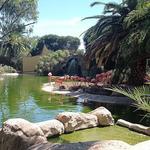 Zoo de Lagos